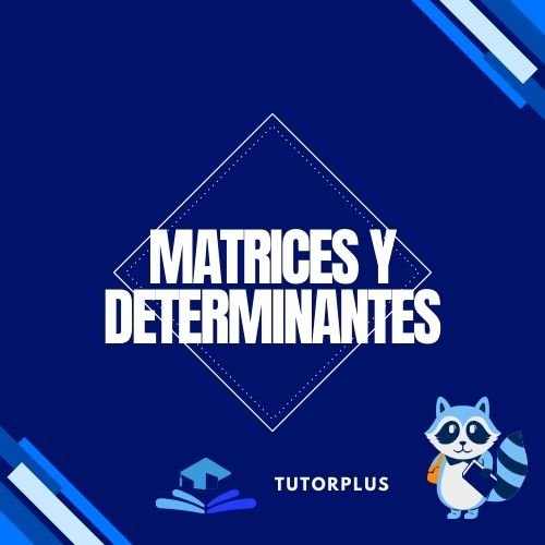 Matrices y Determinantes